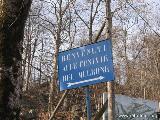 La Funivia Oropa - Lago Mucrone : La bellezza del Santuario difficilmente permette di raggiungere le funivie