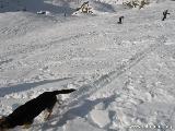 Salendo verso monte.... : Ormai la cima appartiene ai sciescursionisti