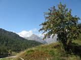 Bergell_21-23_09_2009_0148.JPG (55.33 KByte) Tag 003: Fornogletscher und -tal : Bergell_21-23_09_2009_0148.JPG