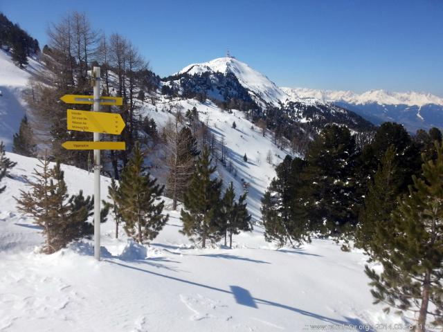 Skitour vs. Industrieski am Beispiel der Querung vom Glungezer Gipfel über Zirbenweg bis hinab nach Igls : Am Zirbenweg der Blick zum Patscherkofel in Bildmitte.