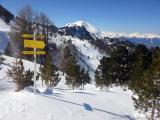 Skitour vs. Industrieski am Beispiel der Querung vom Glungezer Gipfel über Zirbenweg bis hinab nach Igls : Am Zirbenweg der Blick zum Patscherkofel in Bildmitte.