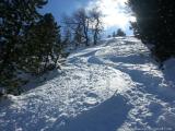 Skitour vs. Industrieski am Beispiel der Querung vom Glungezer Gipfel über Zirbenweg bis hinab nach Igls : Privater Pulver