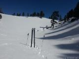 Skitour vs. Industrieski am Beispiel der Querung vom Glungezer Gipfel über Zirbenweg bis hinab nach Igls : Unweit Isshütte. Mittagshitze.