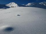 Alpensitze / Mareiter Stein : IMG_3880.JPG