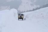 Random images - Peace Studies WT 2011 : NC_Winter_2012_195.jpg