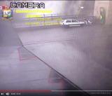 Analysis of collapse dynamics: The Mirror Cinema : 12 while the cantilever 