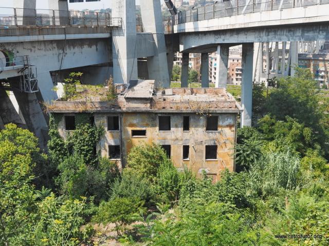 Foto Documentation August 2015 : The first A-type pylon (11) on the eastern side of the Polcevera valley on August 8, 2015