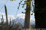 The cable stay bridge over the river Inn : hbb_0518.JPG