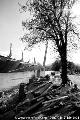 The cable stay bridge over the river Inn : hbb_0521.JPG