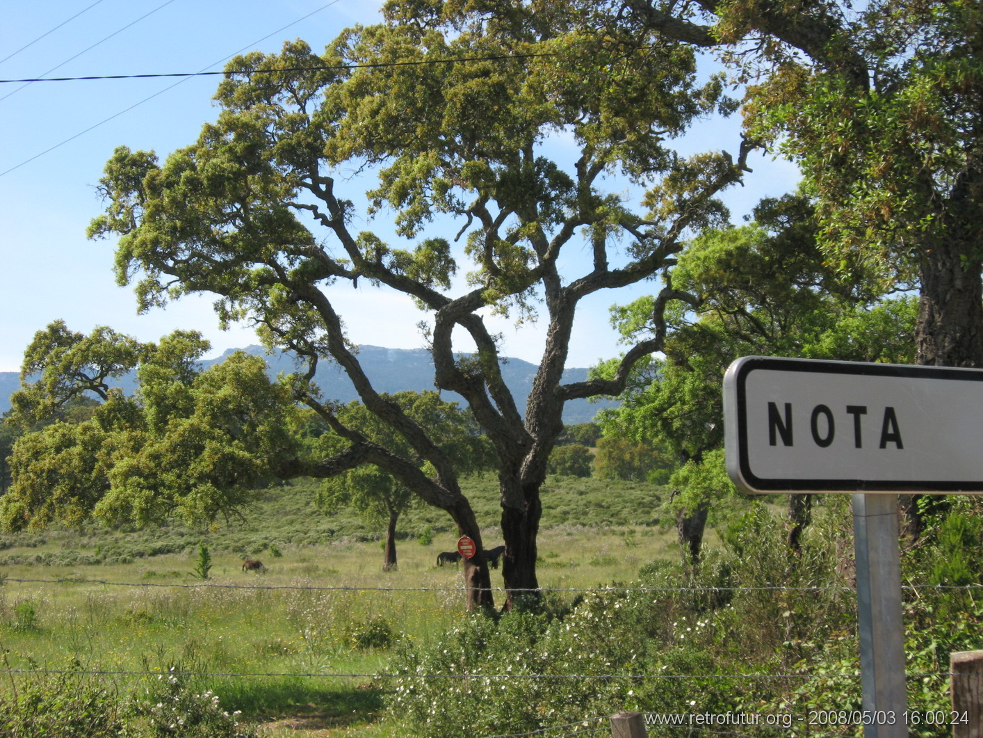 München / Olbia / Bonifacio / Porto Vecchio - Cartalavone : img_kris_2008_05_03 16-00-24_0052.JPG