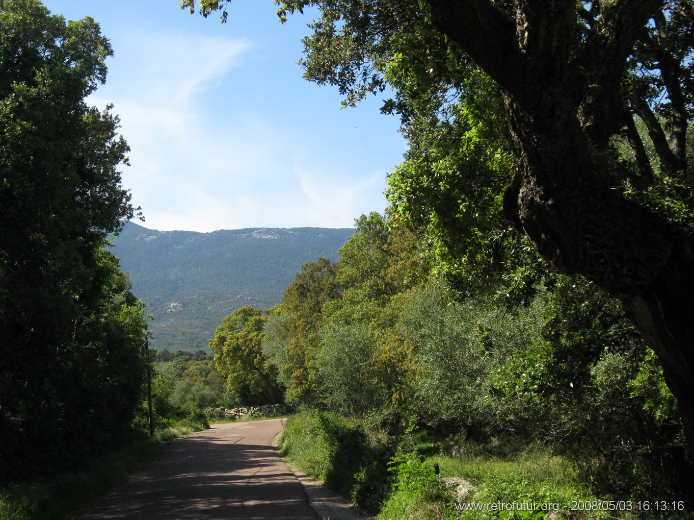 München / Olbia / Bonifacio / Porto Vecchio - Cartalavone : img_kris_2008_05_03 16-13-16_0053.JPG