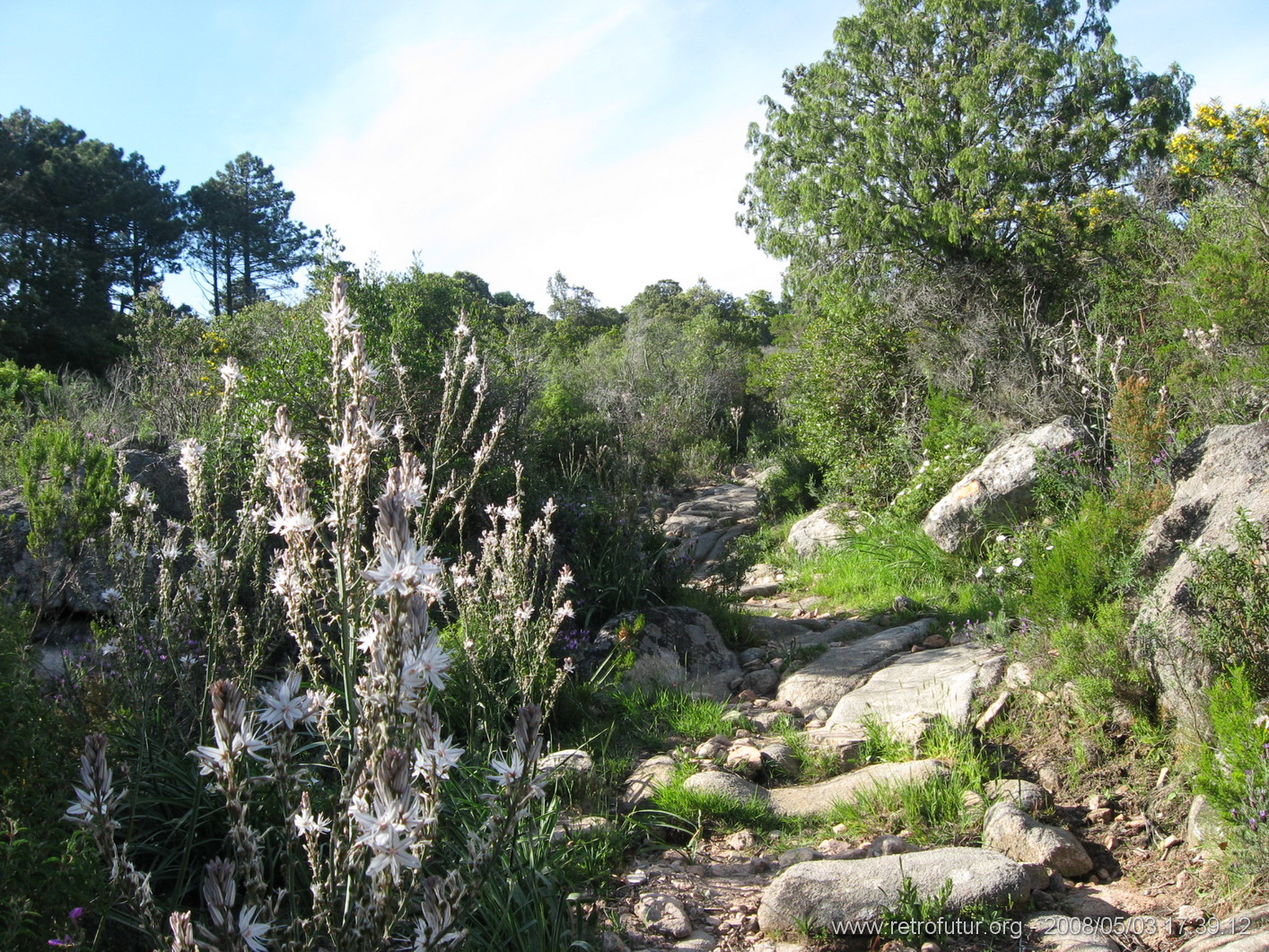 München / Olbia / Bonifacio / Porto Vecchio - Cartalavone : img_kris_2008_05_03 17-39-12_0056.JPG