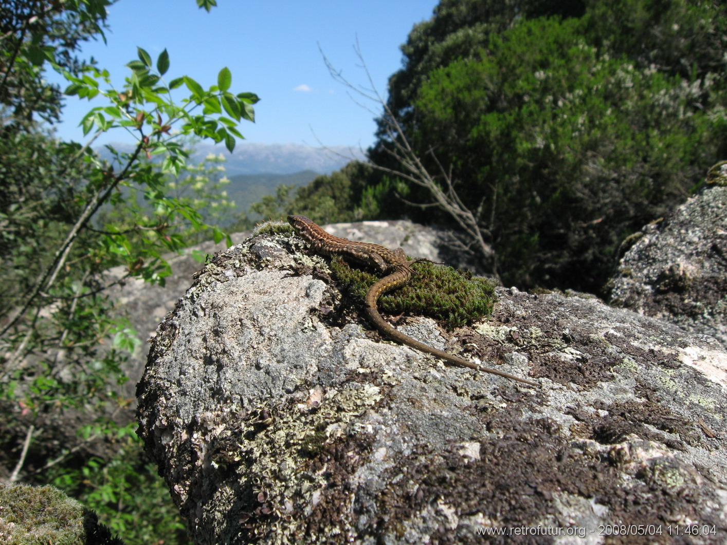 Cartalavone - Levie : img_kris_2008_05_04 11-46-04_0090.JPG