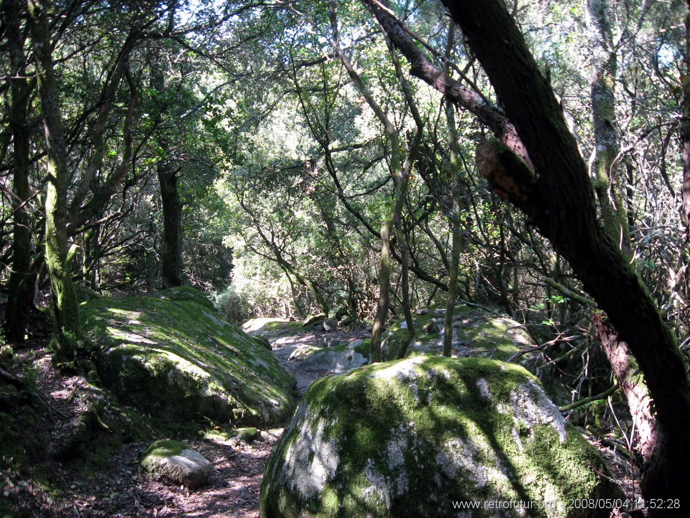 Cartalavone - Levie : img_kris_2008_05_04 11-52-28_0092.JPG