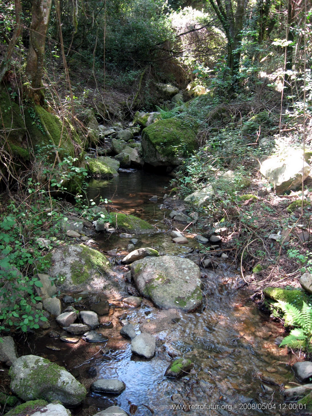 Cartalavone - Levie : img_kris_2008_05_04 12-00-01_0098.JPG