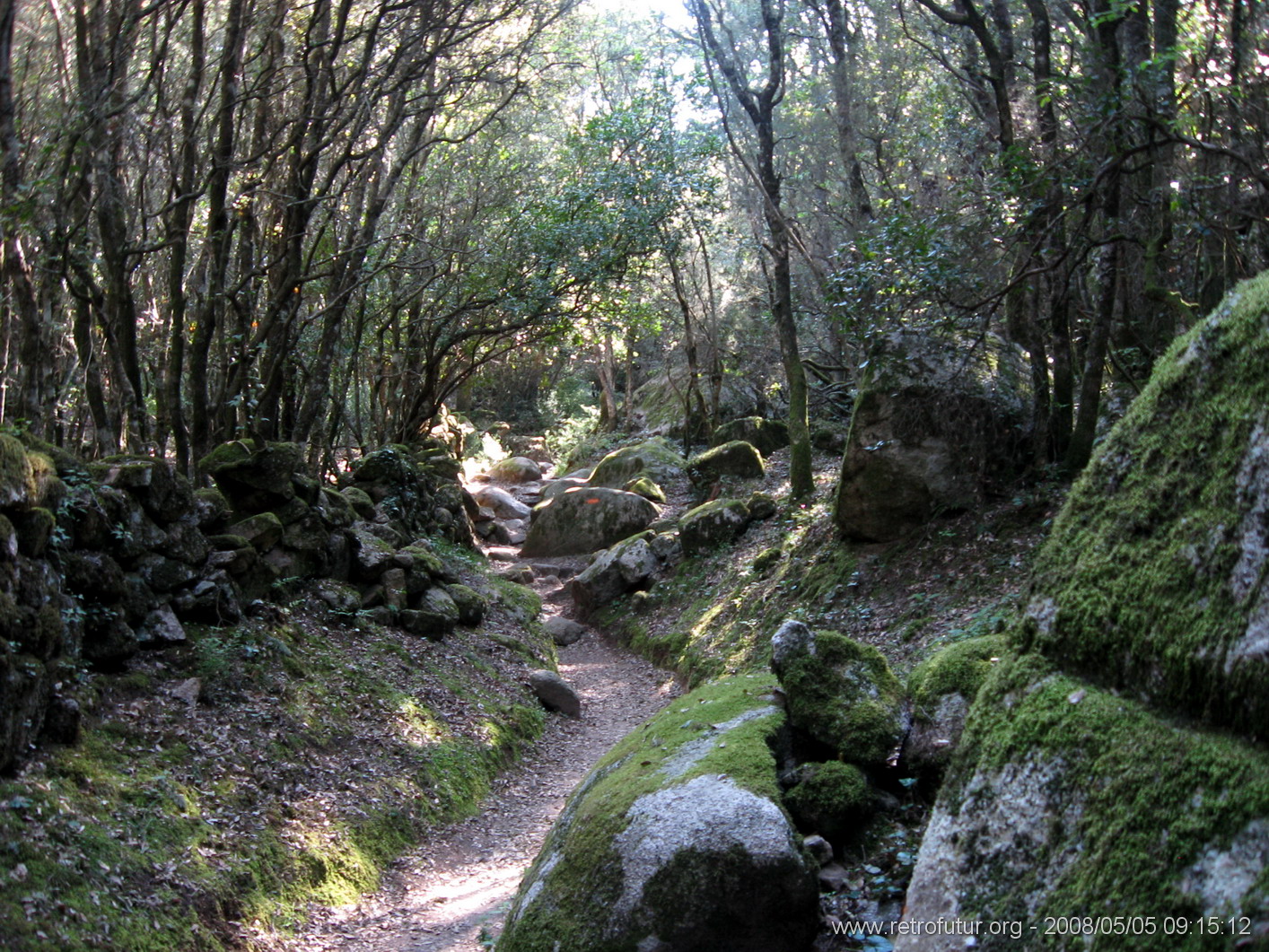 Levie - bavella - Rif.Asinao : img_kris_2008_05_05 09-15-12_0131.JPG