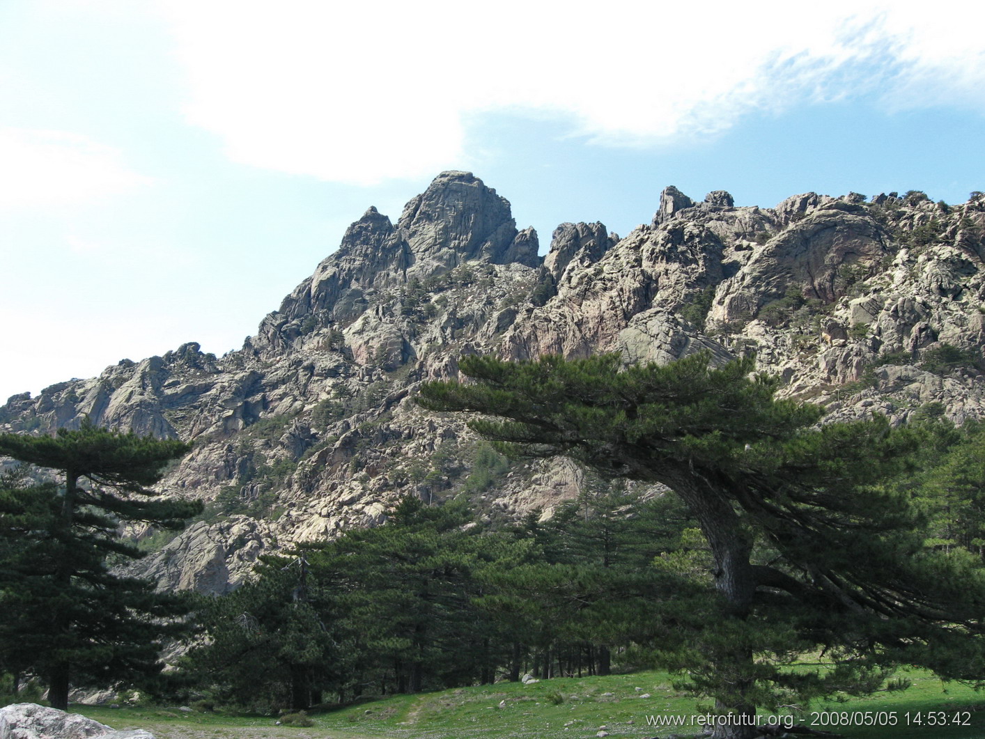 Levie - bavella - Rif.Asinao : Die weiten Kiefern am Pass.
