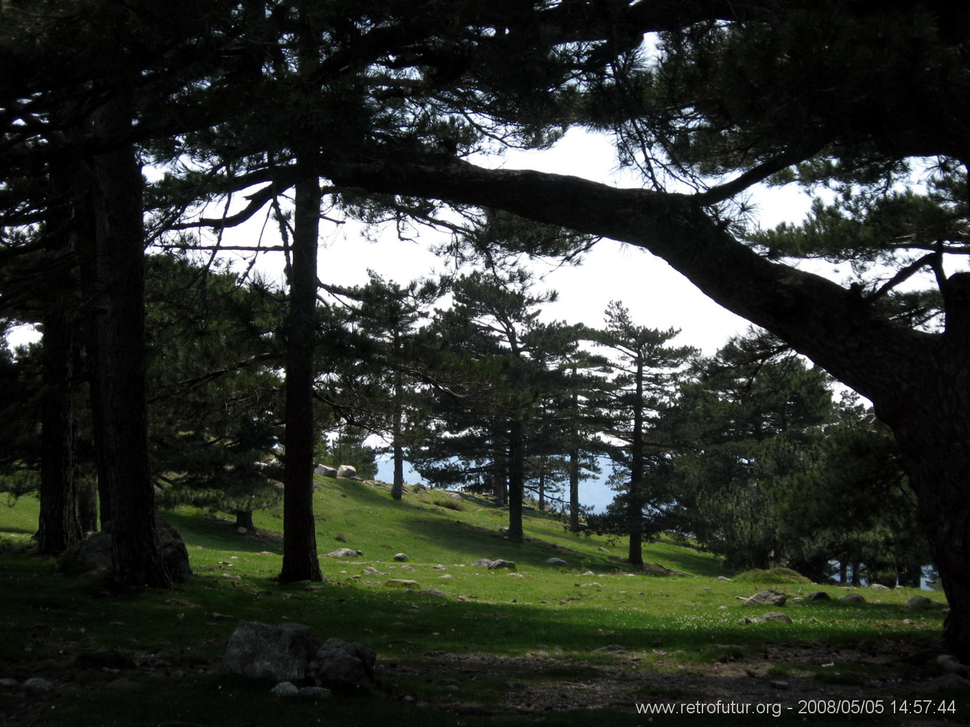 Levie - bavella - Rif.Asinao : img_kris_2008_05_05 14-57-44_0158.JPG