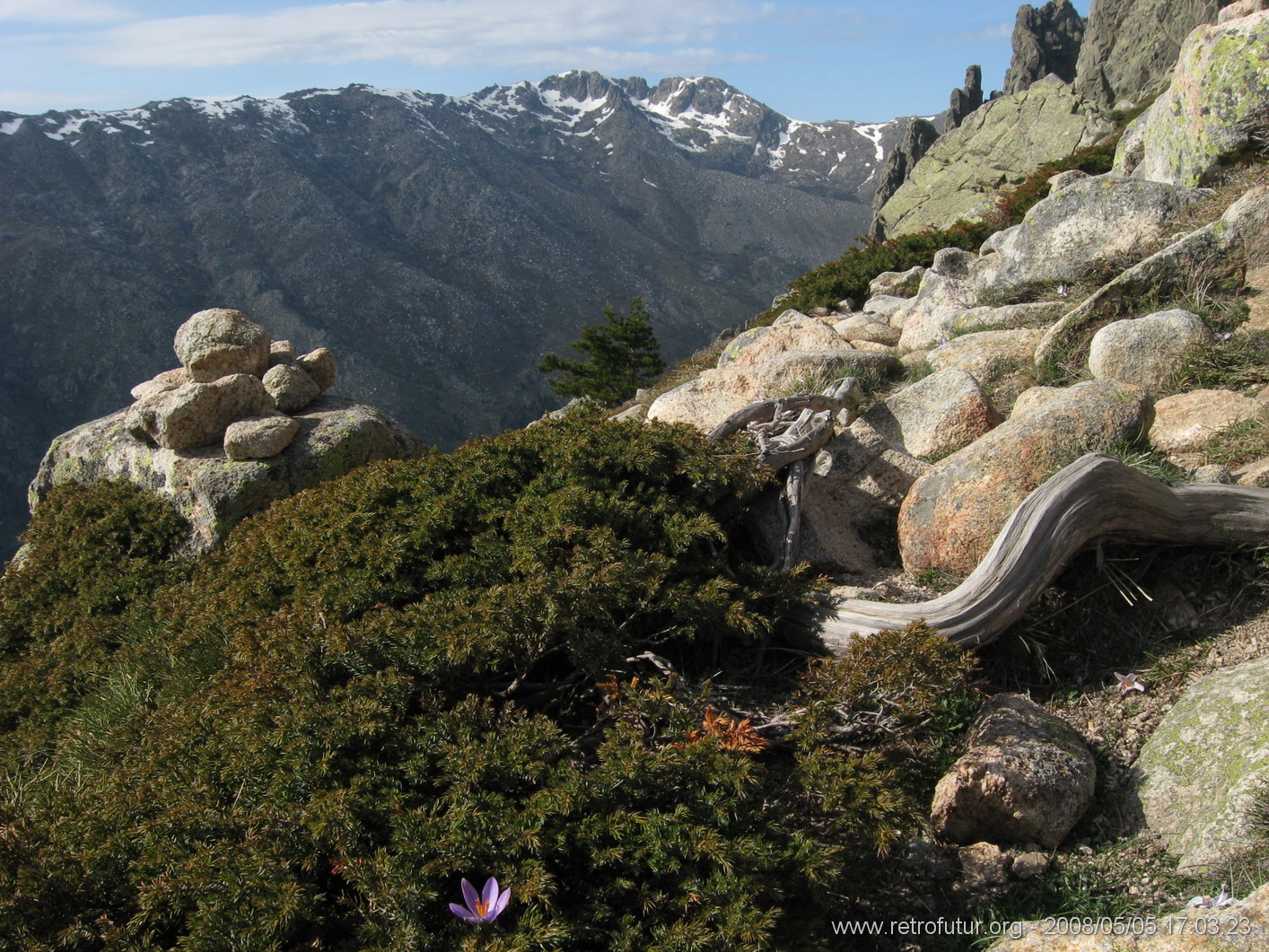 Levie - bavella - Rif.Asinao : img_kris_2008_05_05 17-03-23_0167.JPG