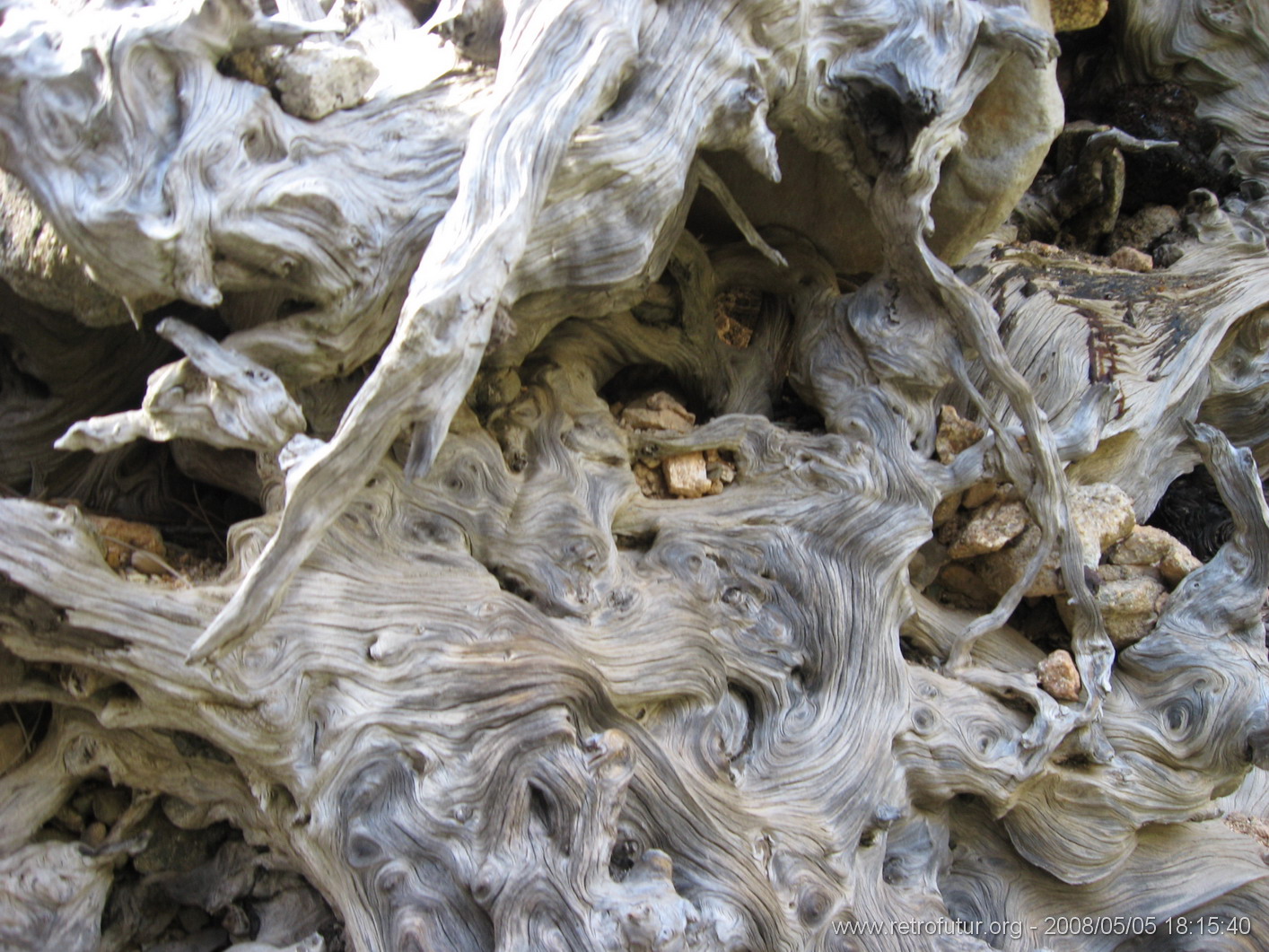 Levie - bavella - Rif.Asinao : img_kris_2008_05_05 18-15-40_0173.JPG