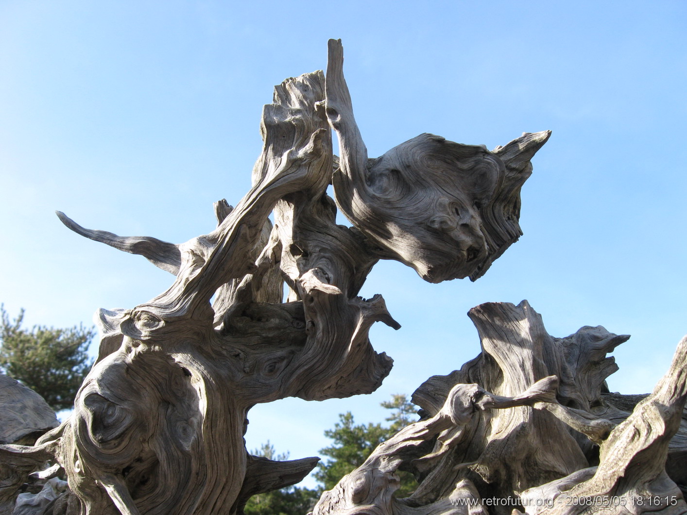 Levie - bavella - Rif.Asinao : img_kris_2008_05_05 18-16-15_0174.JPG