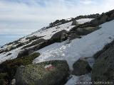 Rif.Asinao - Zicavo : img_kris_2008_05_06 08-58-14_0207.JPG