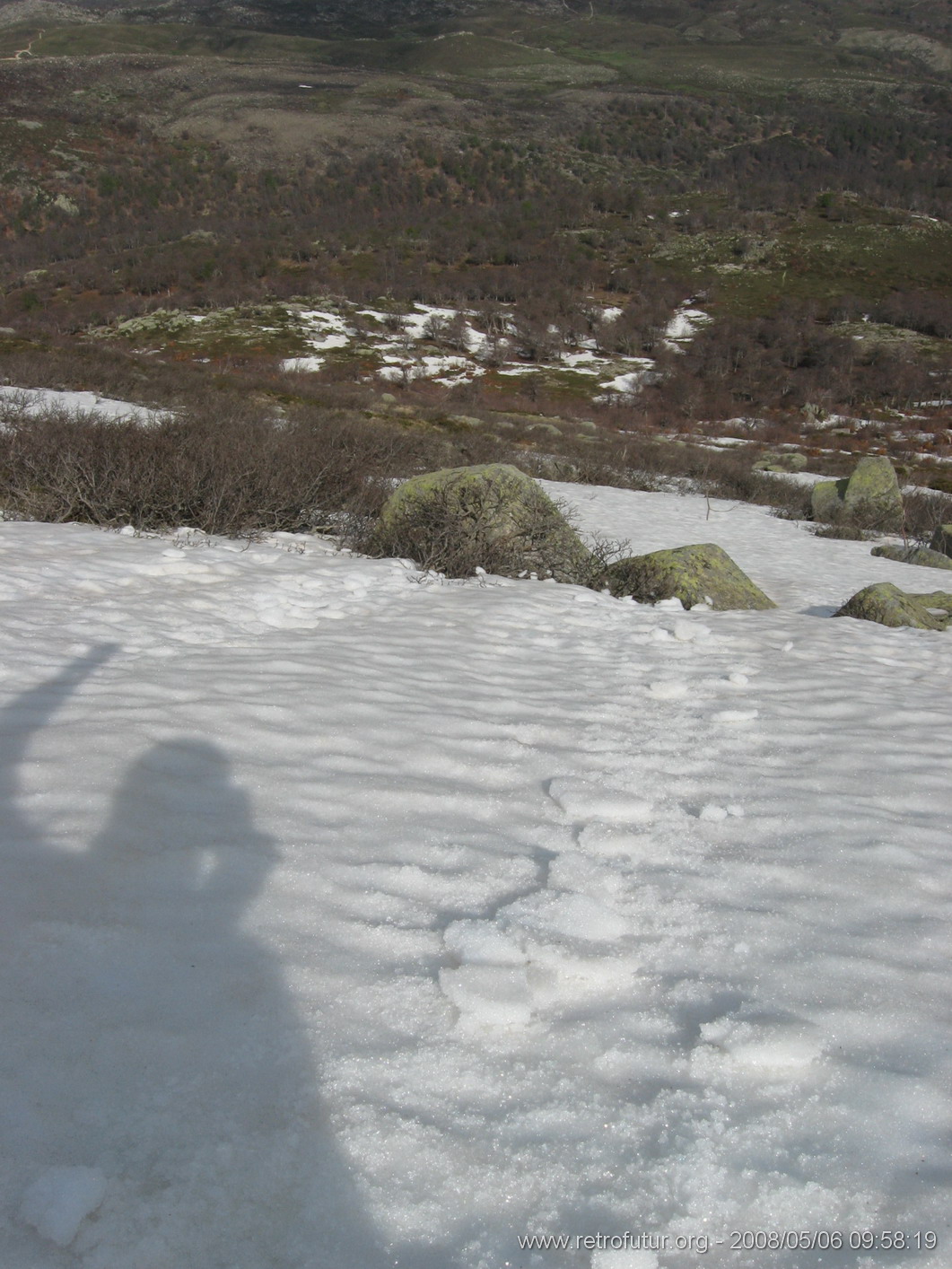 Rif.Asinao - Zicavo : img_kris_2008_05_06 09-58-19_0218.JPG