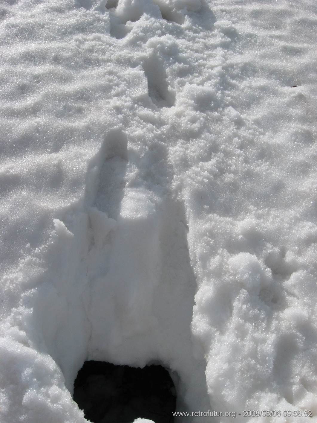 Rif.Asinao - Zicavo : Bis zu den Schultern im Loch...