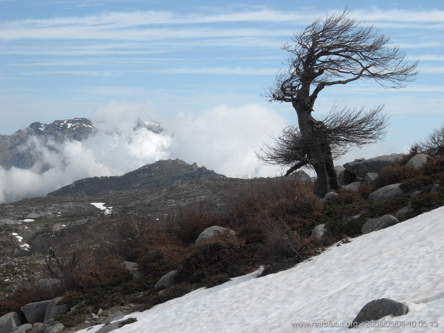 Rif.Asinao - Zicavo : img_kris_2008_05_06 10-05-13_0220.JPG