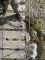 Rif.Asinao - Zicavo : img_kris_2008_05_06 10-52-00_0224.JPG