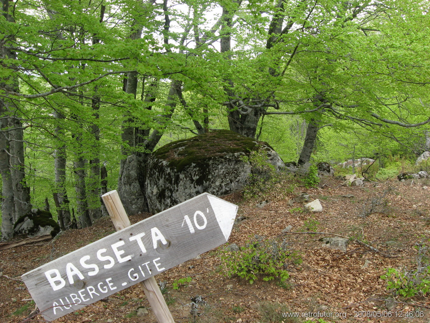 Rif.Asinao - Zicavo : img_kris_2008_05_06 12-46-06_0235.JPG