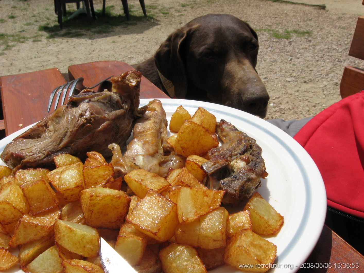 Rif.Asinao - Zicavo : Agneau et patience