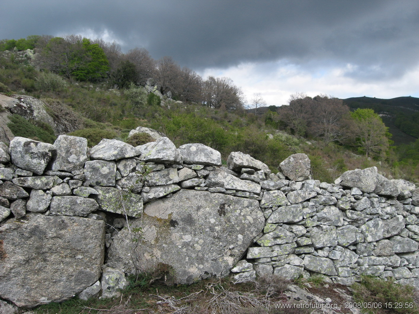 Rif.Asinao - Zicavo : img_kris_2008_05_06 15-29-56_0248.JPG