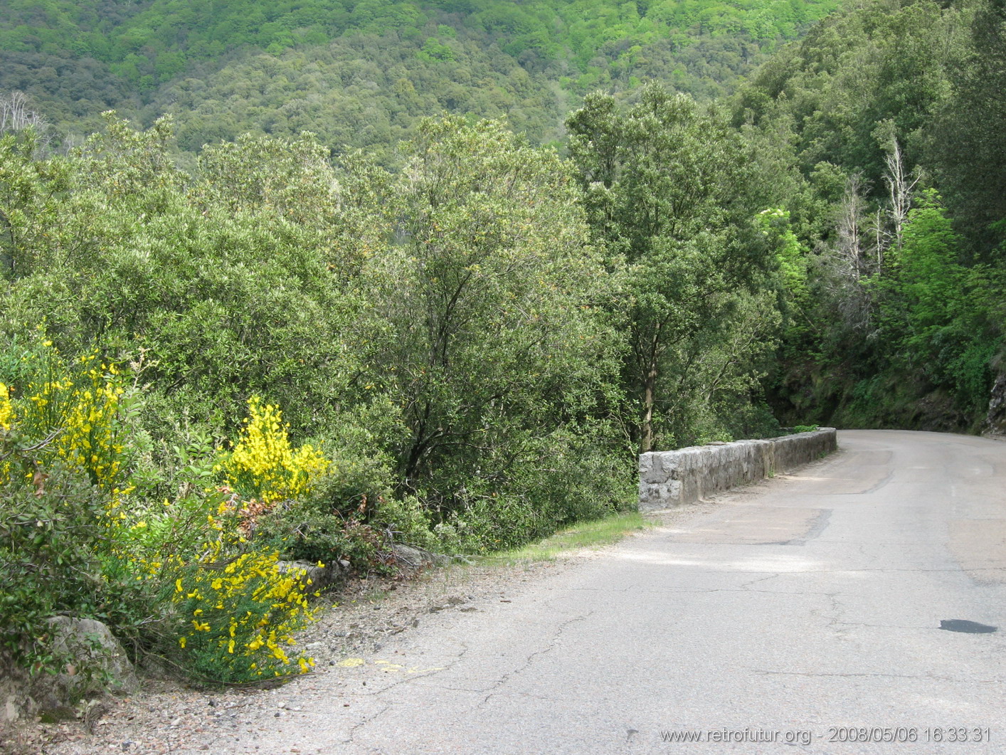 Rif.Asinao - Zicavo : img_kris_2008_05_06 16-33-31_0256.JPG