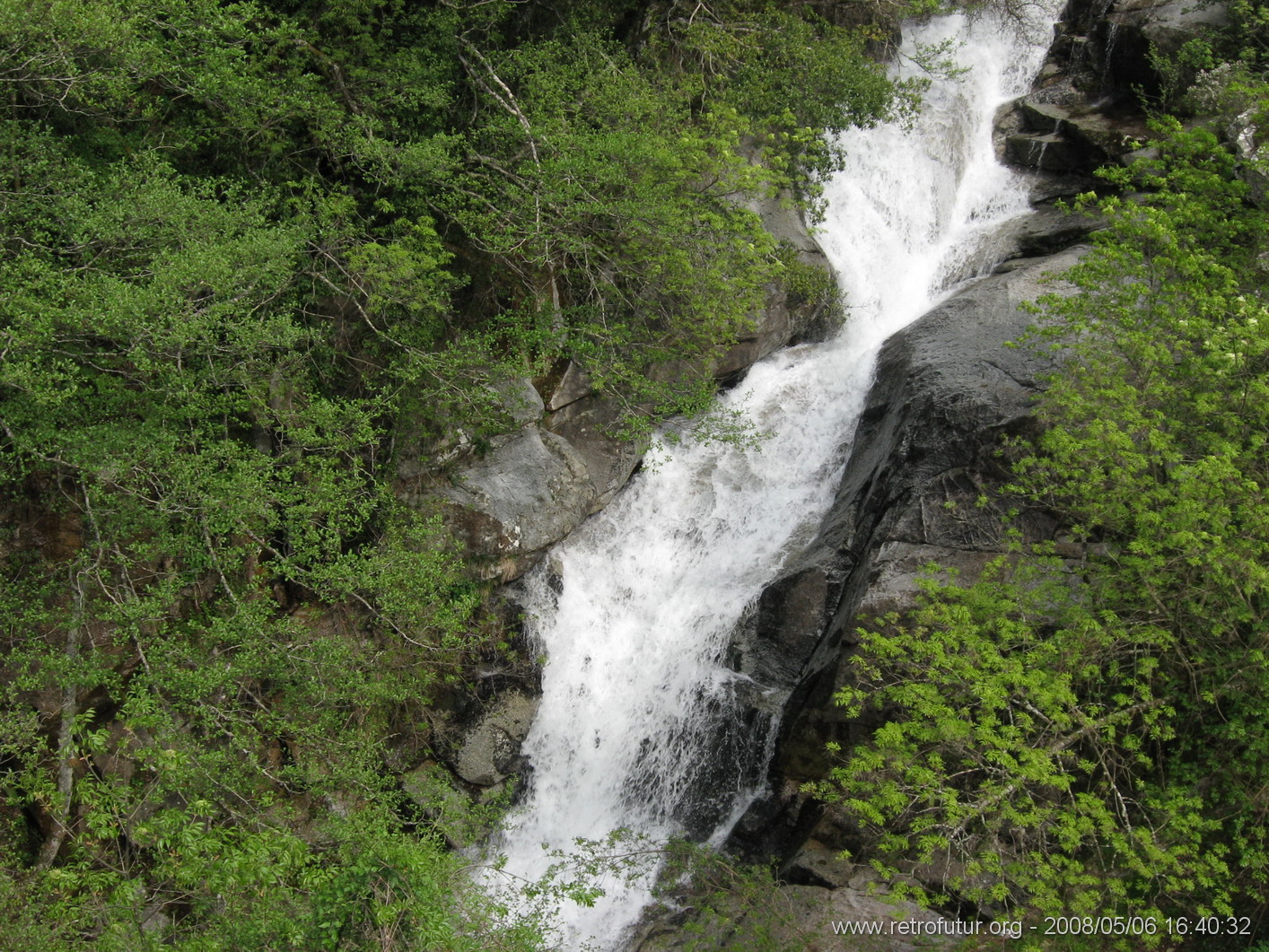 Rif.Asinao - Zicavo : img_kris_2008_05_06 16-40-32_0259.JPG