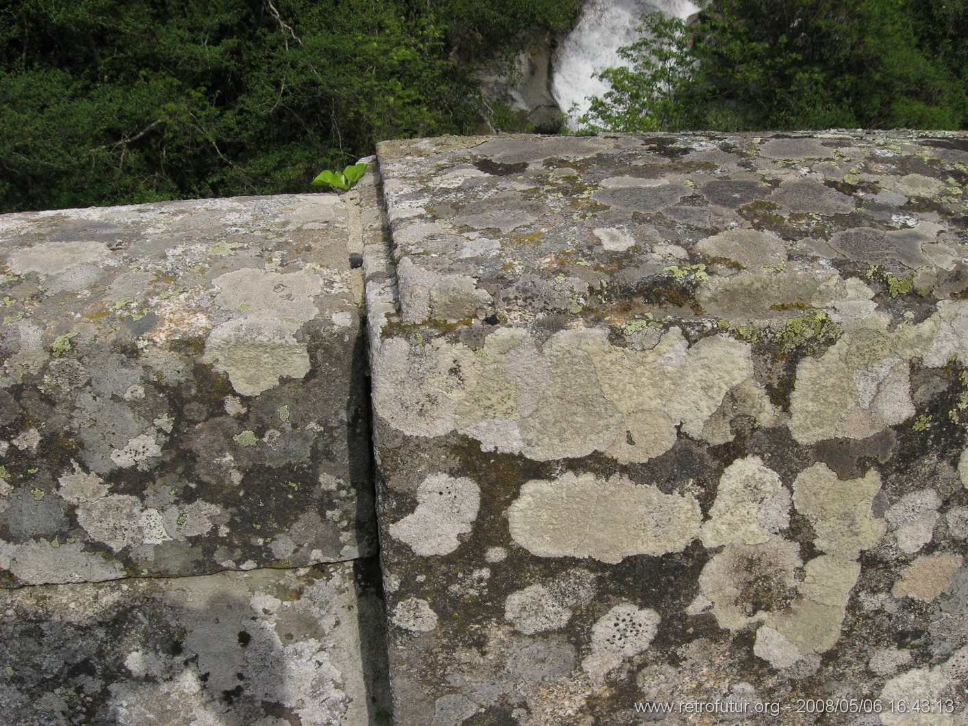 Rif.Asinao - Zicavo : img_kris_2008_05_06 16-43-13_0260.JPG