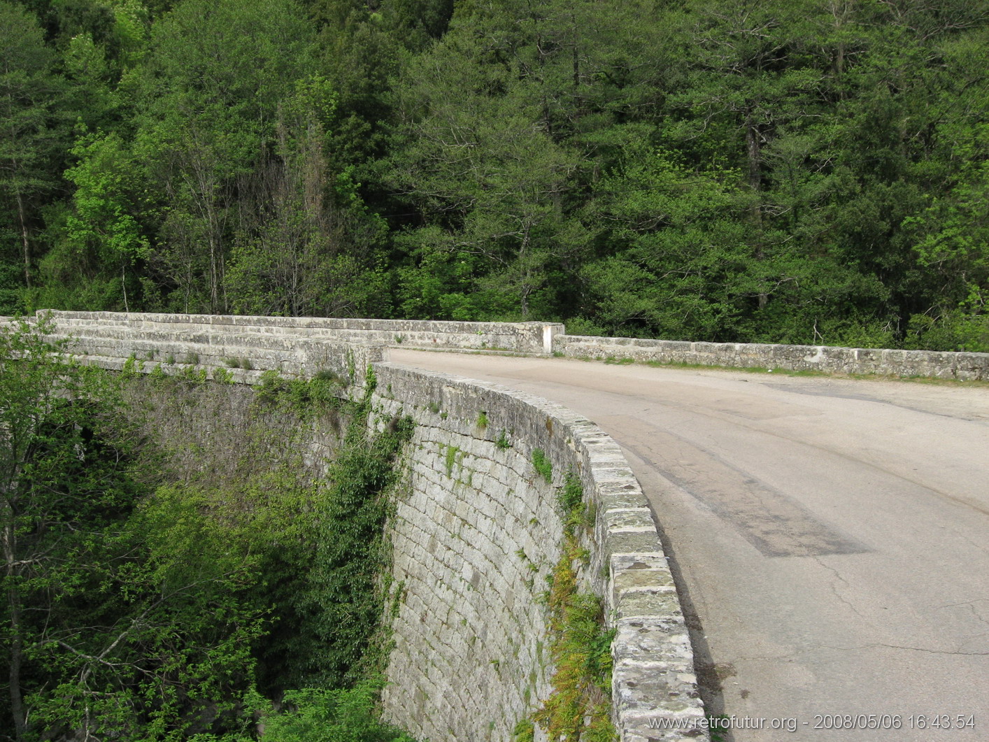 Rif.Asinao - Zicavo : img_kris_2008_05_06 16-43-54_0261.JPG