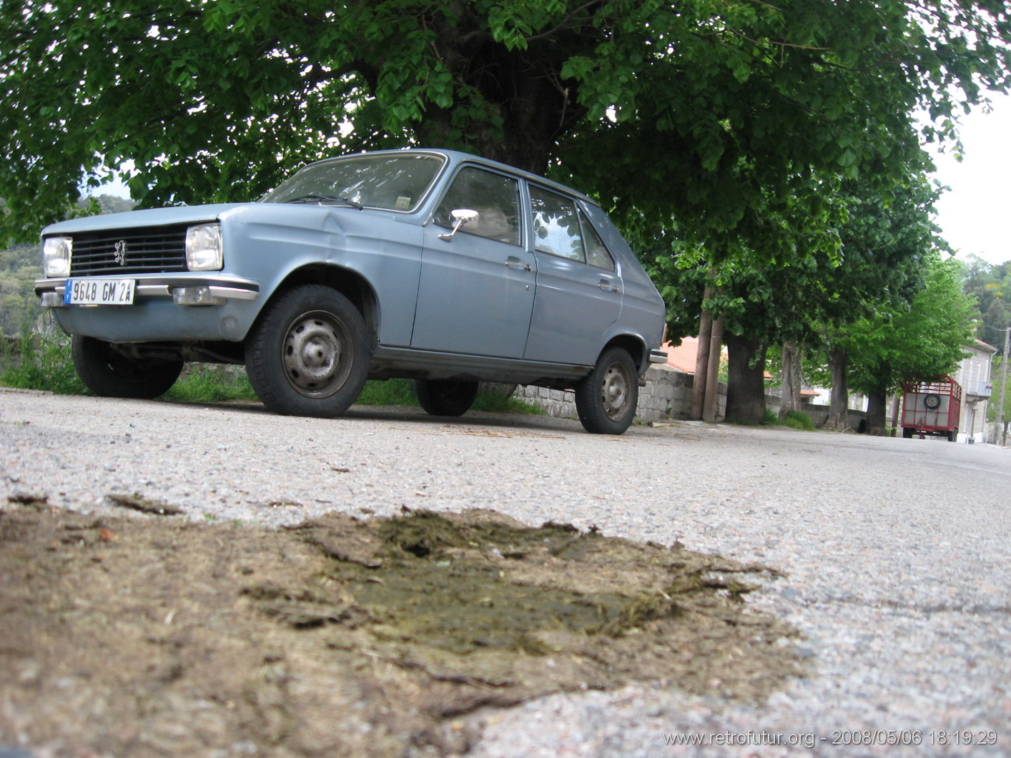 Rif.Asinao - Zicavo : img_kris_2008_05_06 18-19-29_0269.JPG