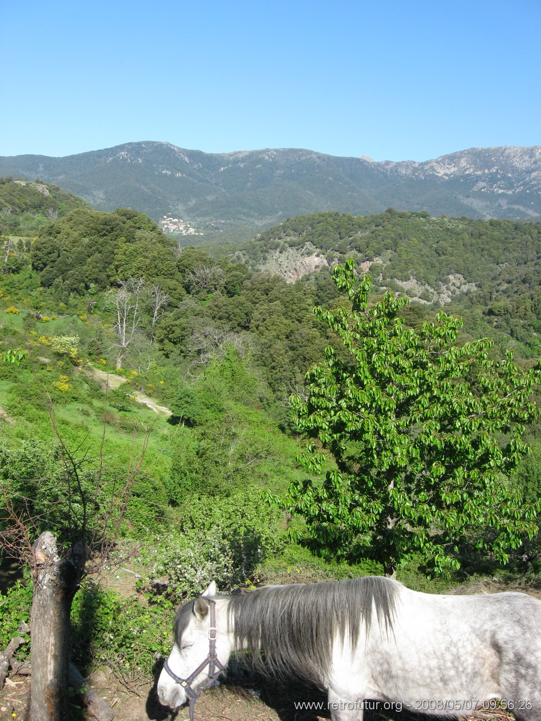 Zicavo - Guitera : img_kris_2008_05_07 09-56-26_0276.JPG