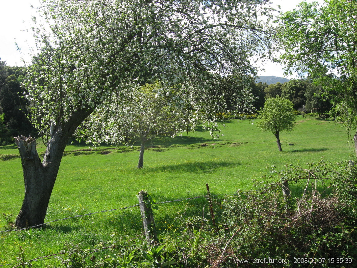 Zicavo - Guitera : img_kris_2008_05_07 15-35-39_0318.JPG