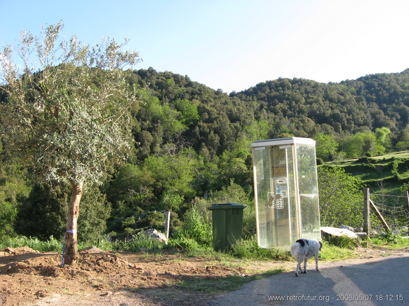 Zicavo - Guitera : img_kris_2008_05_07 18-12-15_0329.JPG