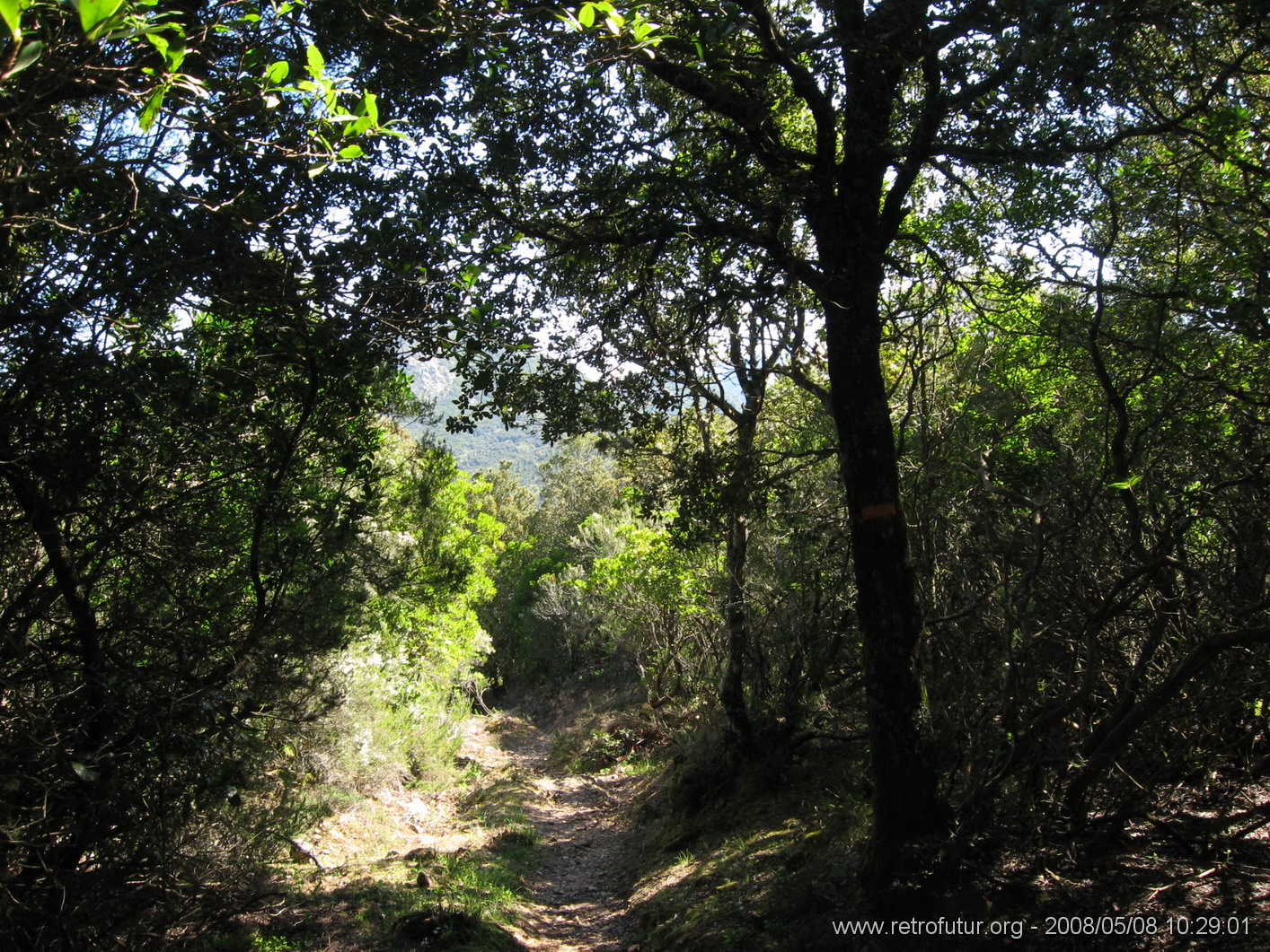 Guitera / Col St. Georges - Coti Chiavari : img_kris_2008_05_08 10-29-01_0334.JPG