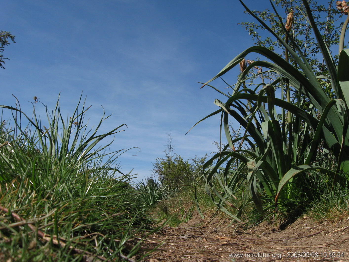 Guitera / Col St. Georges - Coti Chiavari : img_kris_2008_05_08 10-45-54_0340.JPG