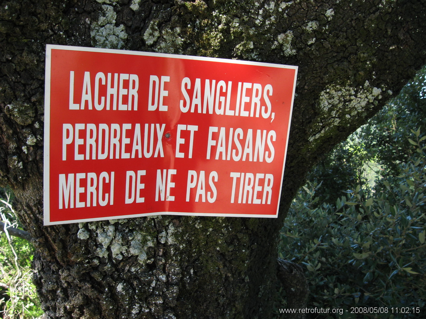 Guitera / Col St. Georges - Coti Chiavari : img_kris_2008_05_08 11-02-15_0342.JPG