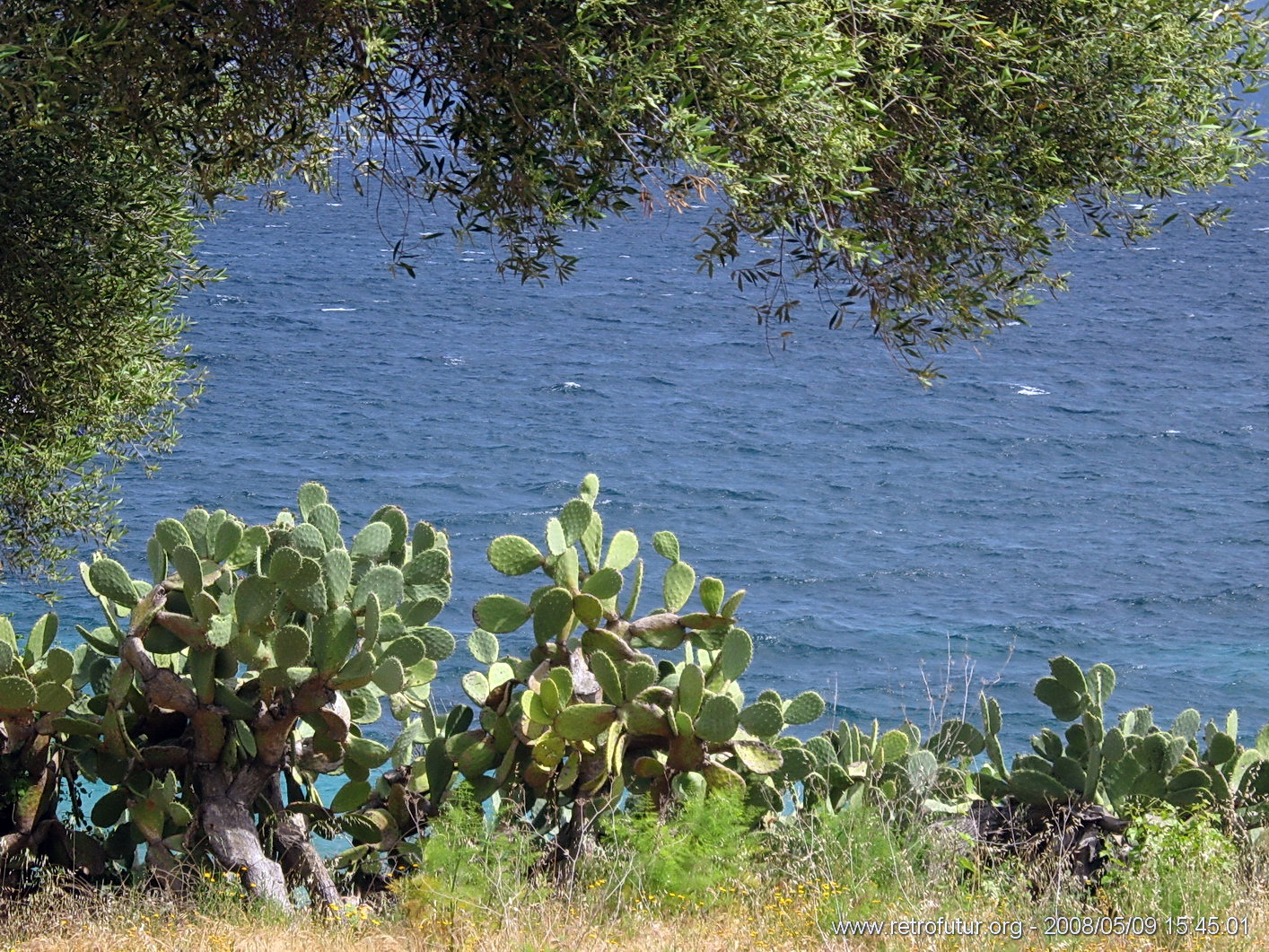 Coti - Porticcio : img_kris_2008_05_09 15-45-01_0399.jpg