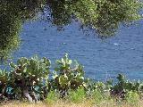 Coti - Porticcio : img_kris_2008_05_09 15-45-01_0399.jpg
