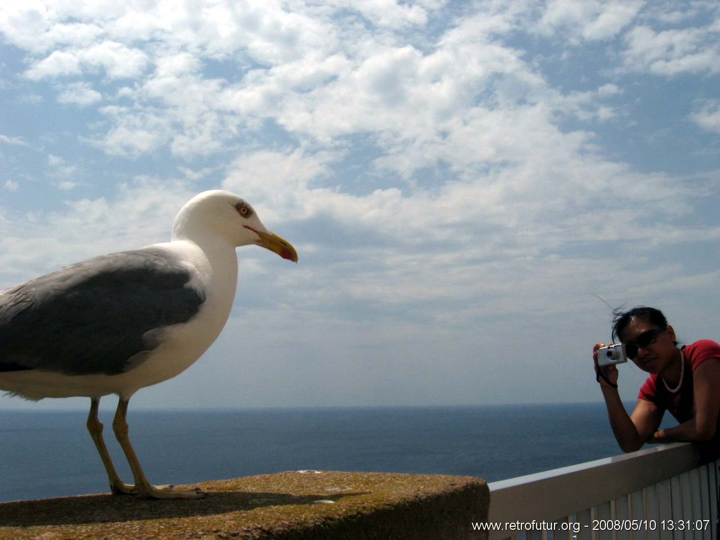 Porticcio - Santa Teresa in Gallura : img_kris_2008_05_10 13-31-07_0427.jpg