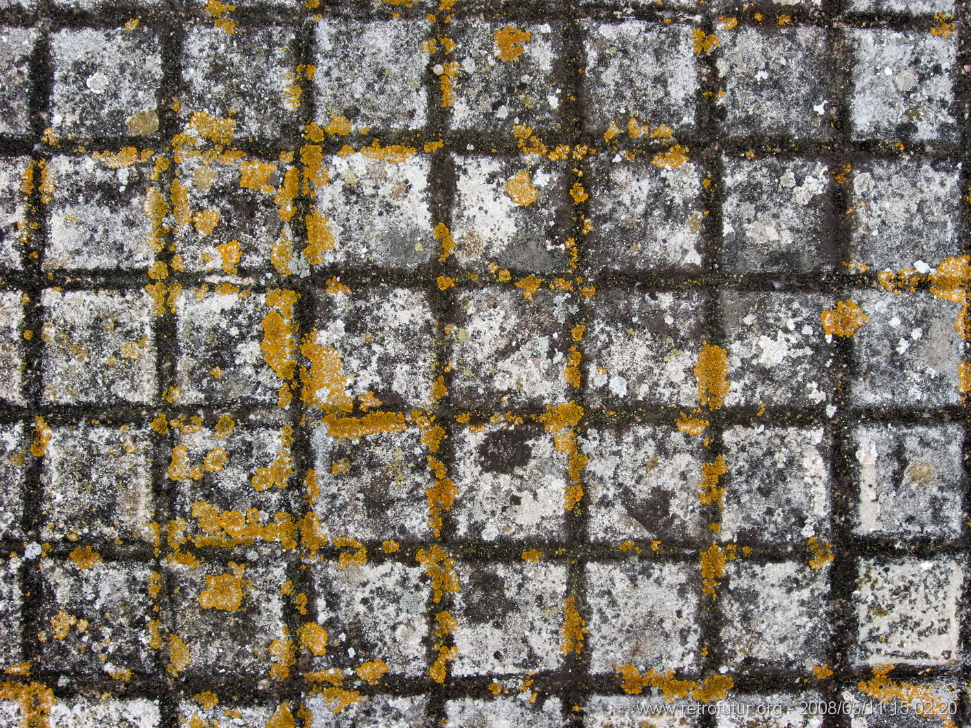 Porticcio - Santa Teresa in Gallura : img_kris_2008_05_11 15-02-20_0472.JPG