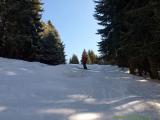 Natural ski slope well integrating itself into the forest. No safety plastic stuff. (43.27 KByte) Impressions of Aerial Ropeways by Italian builder