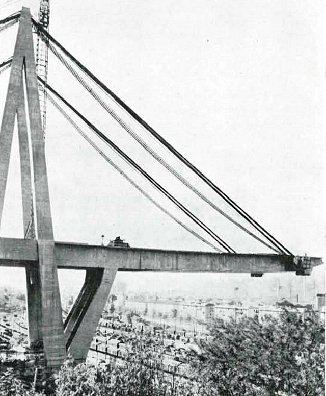 morandi_bridge_constrction_phase_A-cables_ony.png (608811 bytes)